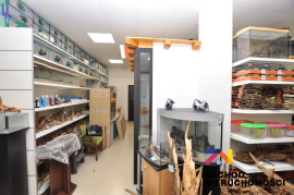 Lokal do wynajęcia Jędrzychów